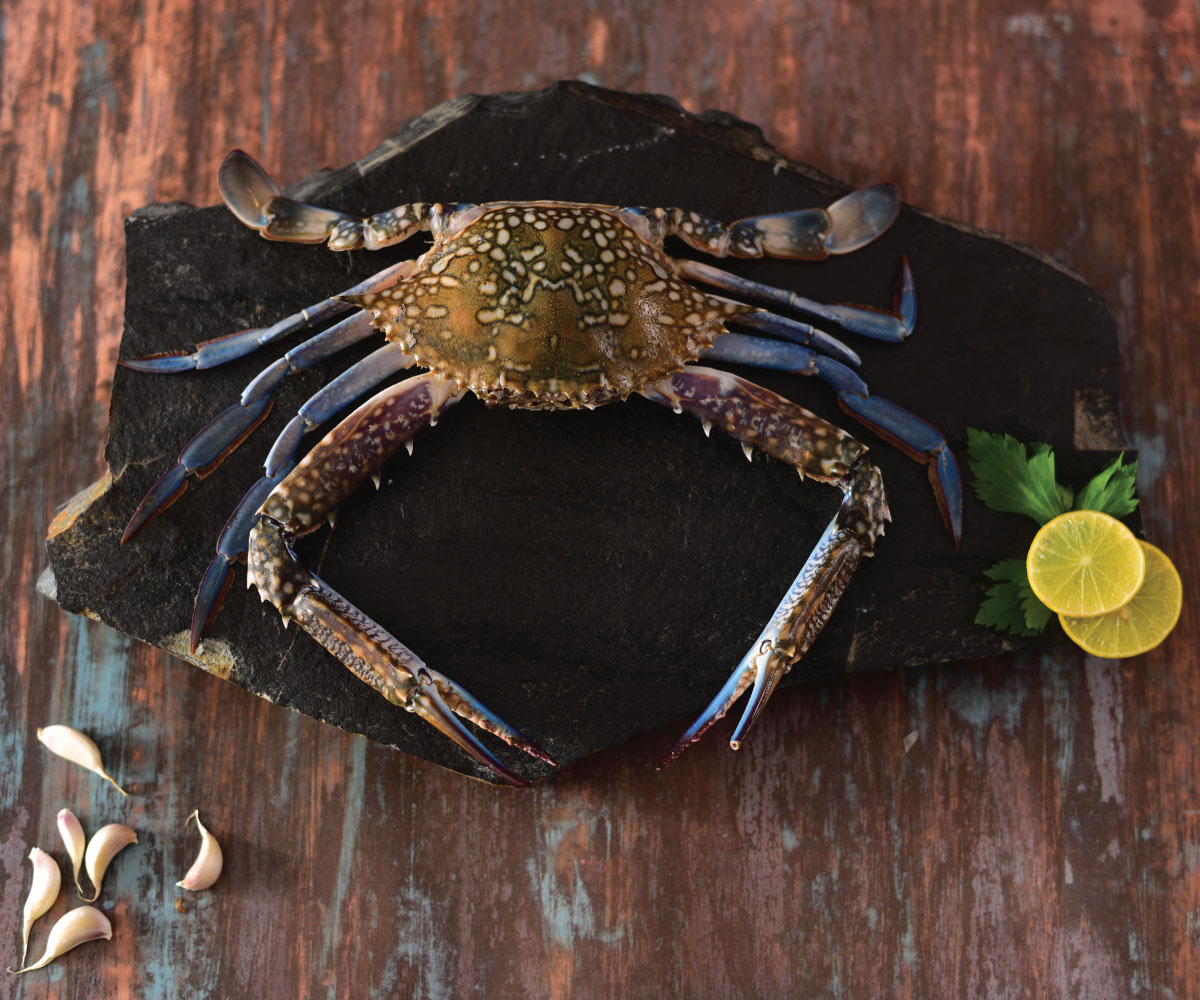 Blue Crab Whole
