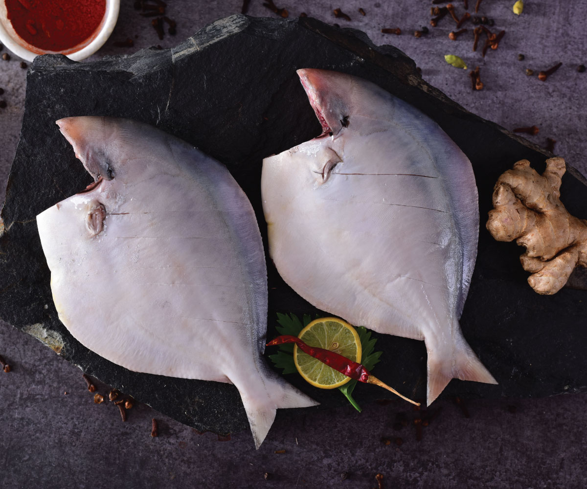 Pomfret Cleaned & Gutted Big
