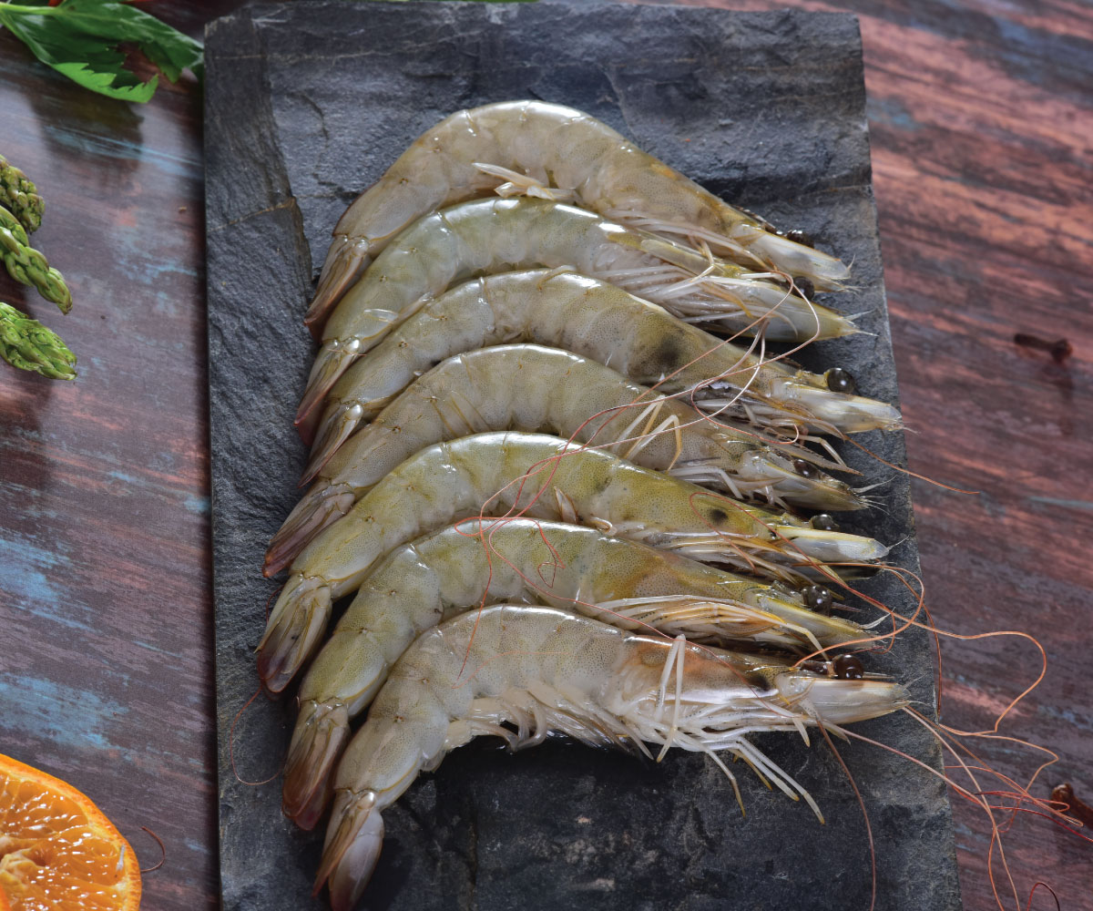 Tiger Prawns Whole Medium